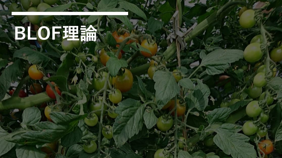 BLOF理論