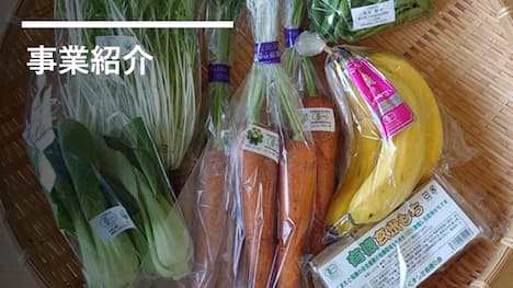 事業紹介