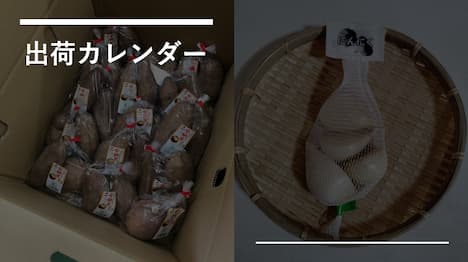 出荷カレンダートップ