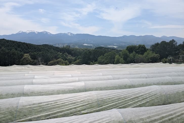 さかまき農園 背景