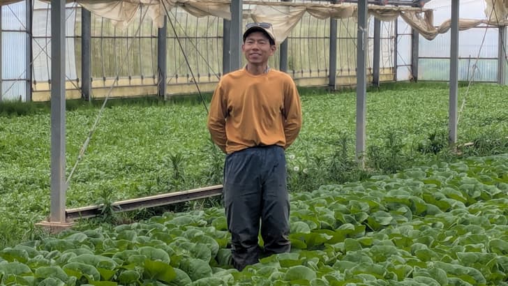 磯辺氏とミニ白菜