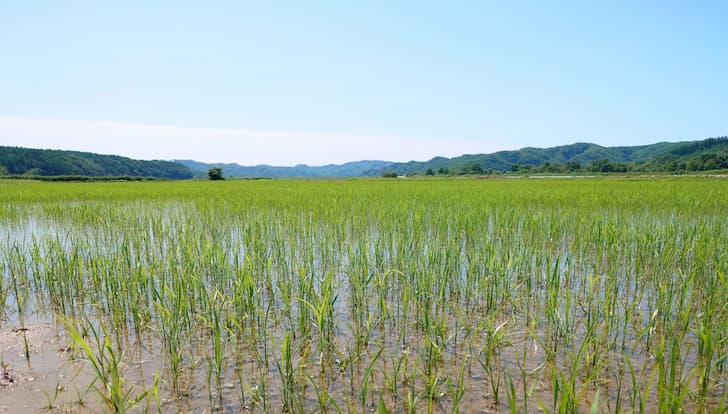 黒縄2025年度5月出荷分 2025年 村田金箔 箔押しカレンダー | 村田金箔グループ